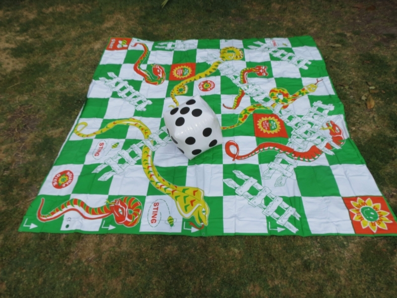 Main image for Giant Snakes & Ladders